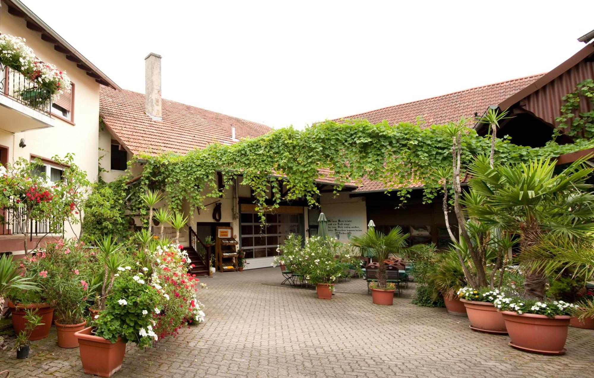 Weingut und Gästehaus Vongerichten Oberhausen  Exterior foto